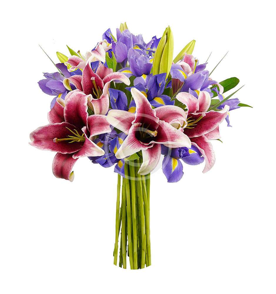 Floral Elegance Bouquet - Elgreen Orchid Farm